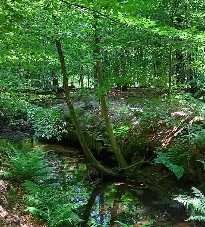 Hotel Onder De Eik *