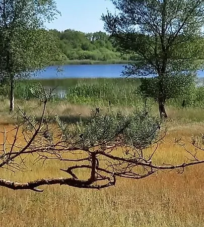 Hotel Onder De Eik Ermelo