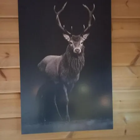 Hotel Onder De Eik Ermelo