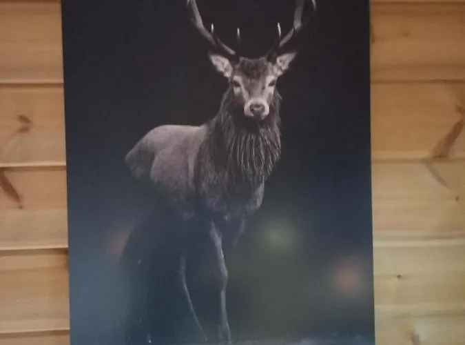 Hotel Onder De Eik Ermelo