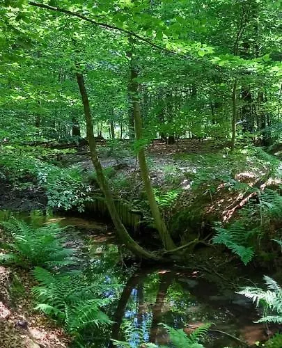 Hotel Onder De Eik *